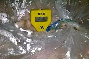 Inspectores retienen otra carga de alimento en mal estado en Maldonado