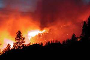 Advierten que Maldonado está en riesgo "alto" de incendios forestales