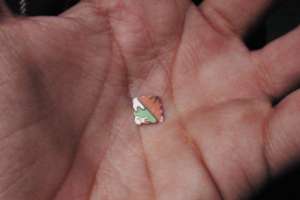 A la cárcel el hombre que tenía un alijo de drogas para comercializar en fiestas electrónicas