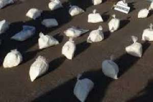 El 2015 cerró con 37 bocas desarticuladas en Maldonado