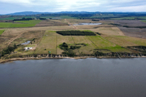El MVOTMA fija franja costera de protección ambiental de 150 metros en Laguna del Sauce