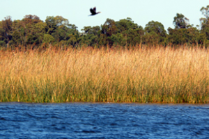 El MTOVMA asegura que el monitoreo de la Laguna del Sauce “es normal”