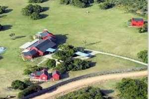 Desmienten acción de Shakira este año por uso de “La Colorada” por parte de Antonio de la Rúa.