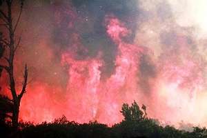 SINAE y CECOED Maldonado continúan con las medidas para evitar incendios forestales