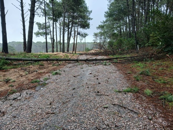 Club del Lago Golf c...