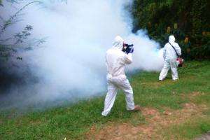 Aparecen larvas y mosquitos en barrio Sarubbi que podrían ser Aedes aegypti