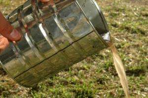 Continúan los trabajos de detección del mosquito Aedes Aegypti