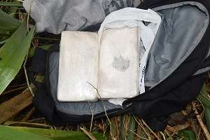 Nuevo procedimiento de la Brigada Departamental Antidrogas: incautan 2kg de cocaína pura