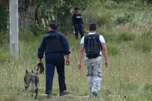 La policía realiza búsqueda de prófugo en zona de Puntas de Pan de Azúcar; cómplice marchó a la cárcel