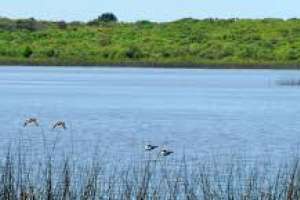 Calidad del agua de la Laguna del Sauce es monitoreada en tiempo real, cada 10 minutos