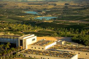 El empresario argentino Bulgheroni inaugura su bodega de US$ 85 millones en Garzón