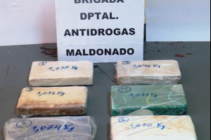 Operación Halcón Gris: 17 procesados, 10kgrs de cocaína incautada y al menos 15 bocas de venta de droga cerradas