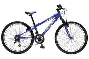 Una mujer que robó una bicicleta fue procesada sin prisión