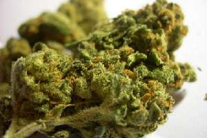 Comando armado copó vivienda en Sauce de Portezuelo para llevarse marihuana