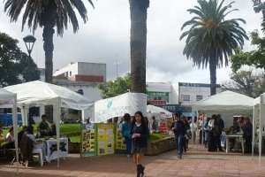 Denuncian que no había dinero para el presupuesto participativo de Maldonado