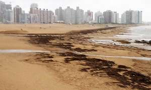 Hay gran cantidad de juncos y camalotes en La Brava a raíz de la crecida del Arroyo Maldonado