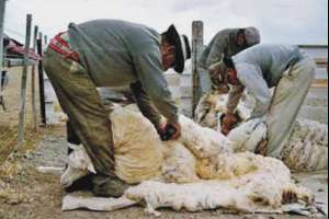 Productores rurales: primero la gran sequía, ahora las precipitaciones torrenciales y el viento