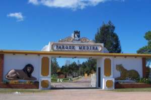 El MGAP aprobó el traslado del león del zoológico de San Carlos a EE.UU.