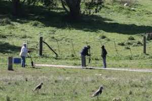 Los compradores del fraccionamiento Las Calas siguen ocupando el terreno y reclaman soluciones