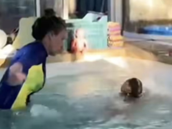 "Hace 11 años que ve...