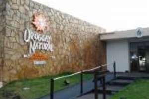 Ejecutivo incluirá en licitaciones de paradores que se incorpore a personal capacitado en la Escuela de Alta Gastronomía de UTU