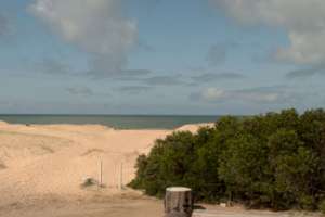 Encontraron restos óseos en Parada 45 de la Mansa