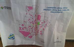 Dos muestras positivas tras relevamiento de aedes aegipty en el centro de San Carlos