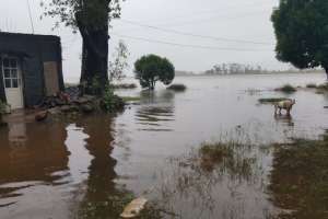 Realizan obras para evitar inundaciones en Barrios Sur y Alameda, en San Carlos