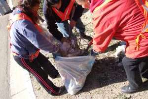 La IDM destinará 20 millones de pesos al Programa Jornales Solidarios 2016