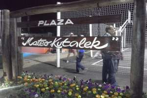 Plantaron árboles en la Plaza Mateo Kutalec de San Carlos