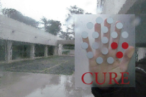 Becas terciarias serán publicadas el martes y pagadas el jueves próximo