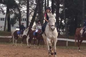 Robaron elementos de equitación utilizados por niños de equinoterapia