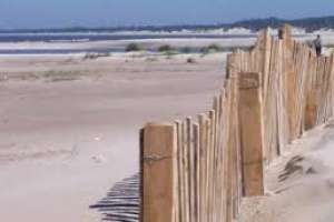 Están colocando cercas captoras de arena en la zona de La Olla, para recuperar las dunas