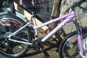 Un menor robaba las bicicletas y un mayor las colocaba: ambos procesados