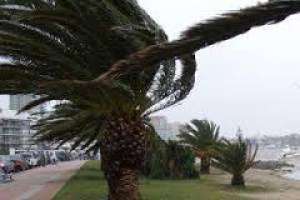 Maldonado otra vez en advertencia amarilla: lluvias abundantes y vientos fuertes