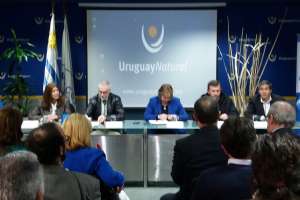 Kechichián: por problemas regionales, cayó la llegada de cruceros al país