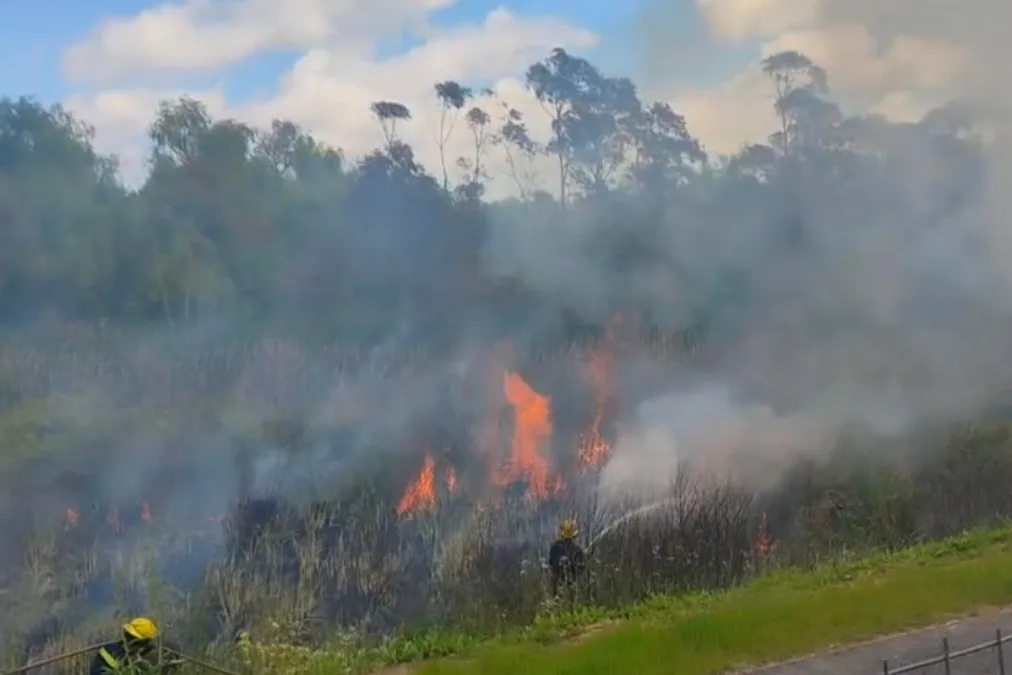 VIDEO| Bomberos debi...