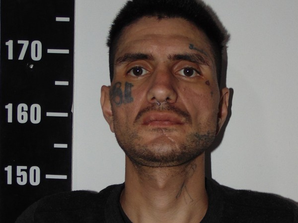Ladrón que venía asolando a Piriápolis fue detenido por la policía