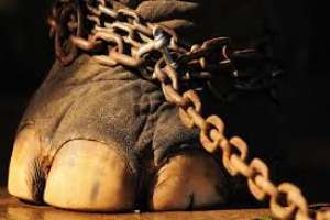 Maldonado declarado departamento libre de circos con animales