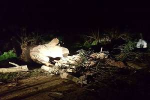 UTE reparó 7.000 servicios de unos 21.000 interrumpidos por la tormenta