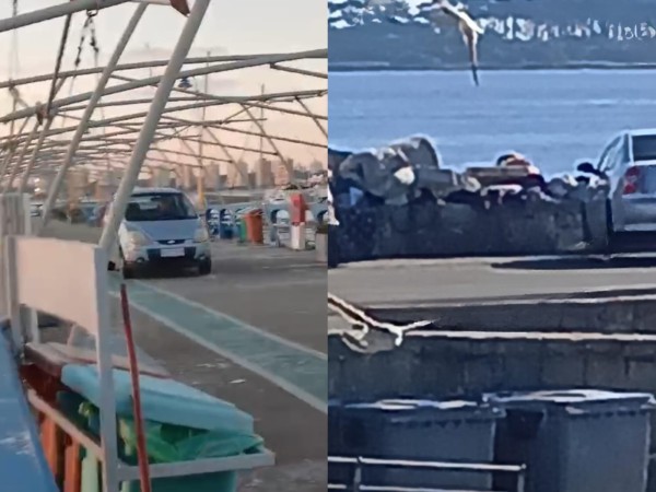 Preocupación por la situación de pescadores zafrales en el puerto de Punta del Este