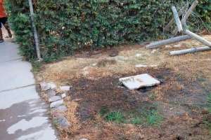 Reclaman que se restablezca el servicio de barométrica gratis en barrio de San Carlos