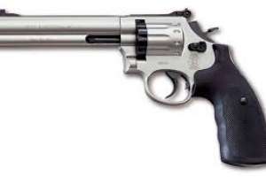 Dos detenidos por porte de arma de fuego