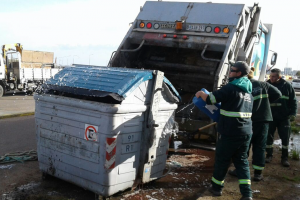 Piriápolis: tiraron más de una tonelada de pescado en descomposición en un contenedor de basura