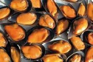 Hay marea roja en Maldonado y se prohíbe la extracción y consumo de moluscos bivalvos