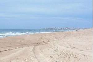 D’Anatro: no hay restos oleosos en las manchas detectadas en la costa, al Este de La Barra