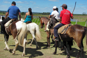 Realizarán en Maldonado una jornada para promover el turismo rural y natural