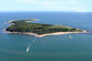 IDM y Ministerio de Defensa acuerdan tareas para la limpieza de Gorriti y otros espacios de Maldonado