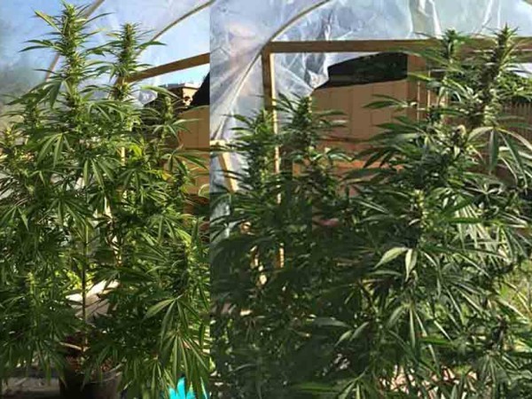 Hombre de 19 años co...