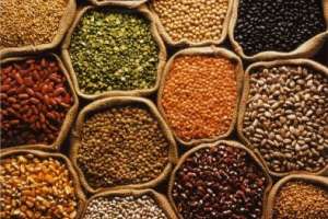 Se cumple este domingo el IV Encuentro de Semillas y Saberes en Maldonado  